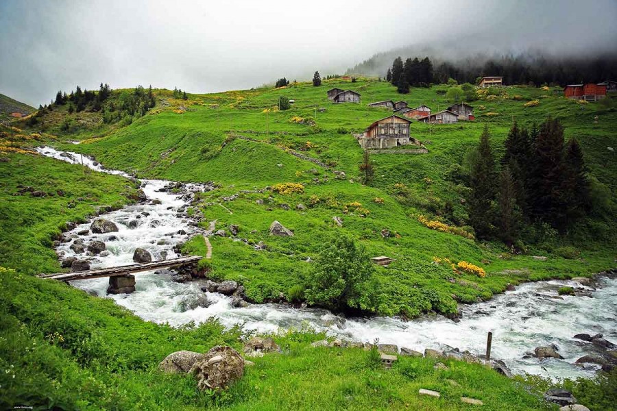 Elevit Ayder Turu (Double) Elevit Ayder Turu (Double)