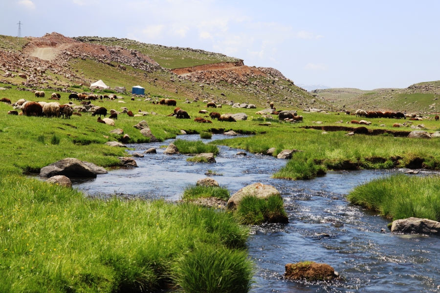 Karadeniz Şavşat Macahel Turu Karadeniz Şavşat Macahel Turu