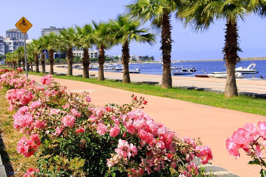 Amasya Samsun Turu Amasya Samsun Turu